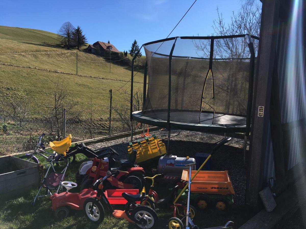3,5 Zimmerferienwohnung Schwalbenaescht Rueeggisberg ภายนอก รูปภาพ